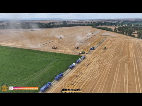 8 Mähdrescher im Kampf gegen die Anziehende Regenfront! Großeinsatz Getreideernte in Thüringen 2025