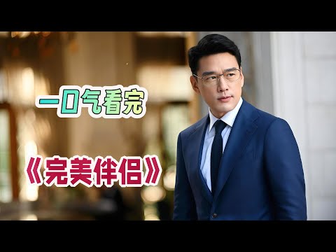 💔女强男弱的婚姻真的会崩盘吗❓高圆圆&张鲁一十年夫妻👫面临王耀庆介入危机😱婚姻底线被反复试探😮一口气看完《完美伴侣》剧情解说❗