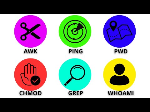 Every LINUX Command You Need In 15 Minutes