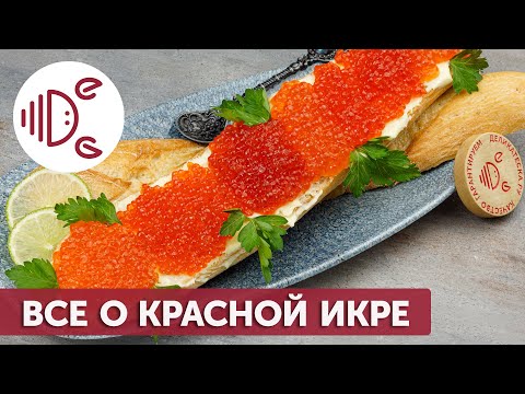 Чем отличается красная икра разных рыб?