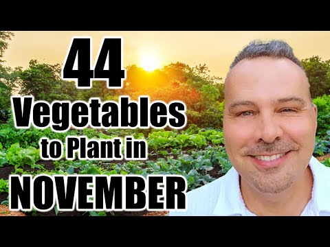 44 Crops to Plant in NOVEMBER!