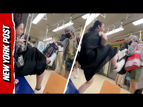 Shocking Moment Passenger KICKS Old Woman Across Train