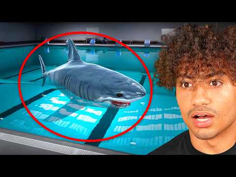 SWIMMING IN A SHARK INFESTED POOL!