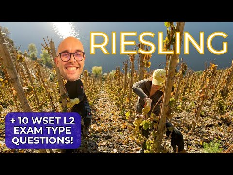 Riesling: Everything You Need to Know for WSET Level 2 in Wines (+10 WSET exam-type questions)
