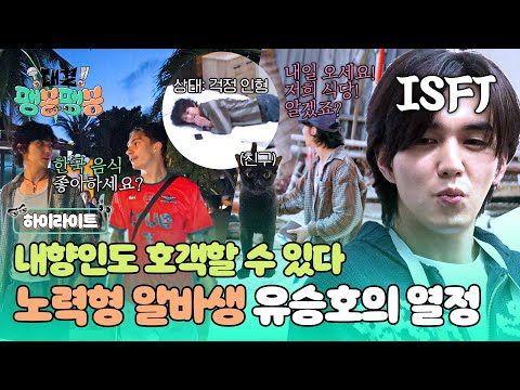 [하이라이트] 선배님들을 실망시켜선 안 돼🥺 상권 조사에 호객까지! 확신의 내향형 유승호는 노력 중‍🔥 | 대결! 팽봉팽봉 | JTBC 250419 방송