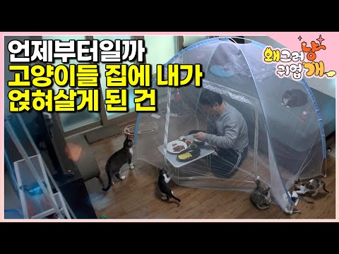 I'm sure it used to be our house, but I'm not sure anymore│#WhyYou'reSoCute