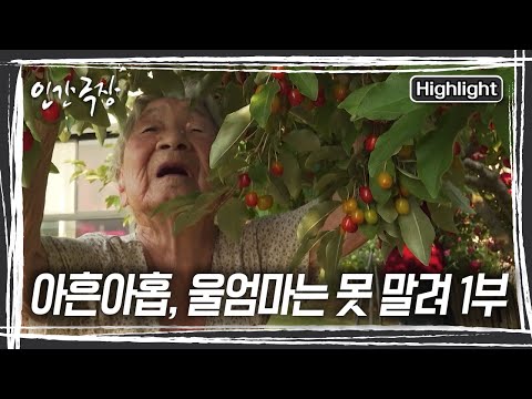 입만 열면 “어서 가야 하는데, 왜 안가나 몰라” 하소연하는 어르신~  올해 아흔아홉 번째 여름을 맞는 조성임 할머니와 가족들의 이야기 [인간극장] KBS 250728 방송