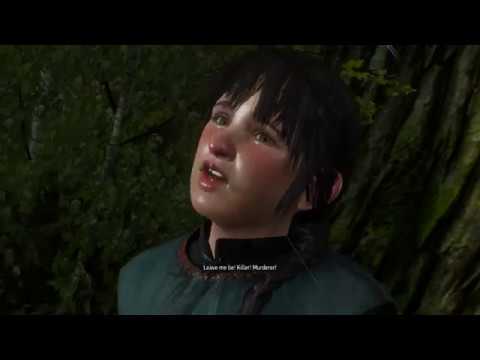 The Witcher 3: Wild Hunt - Where The Wolf and the Cat Play