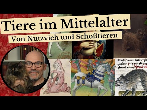 Tiere im Mittelalter - von Nutzvieh und Schoßtieren