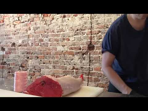 CORAL TROUT 'PORCHETTA'