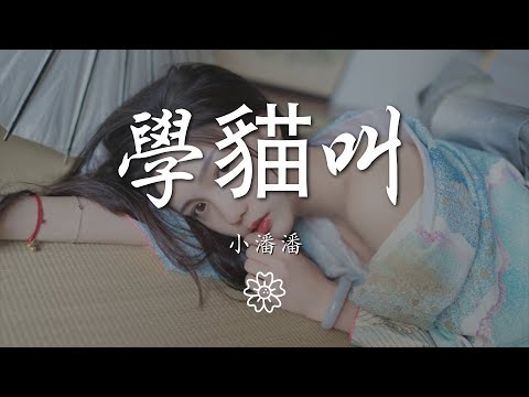 小潘潘（潘柚彤） - 學貓叫『我們一起學貓叫 一起喵喵喵喵喵』【動態歌詞Lyrics】