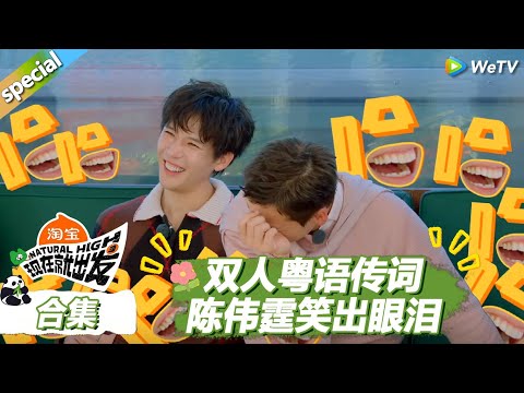 EP5游戏合集：出发团爆笑还原陈伟霆赵露思名场面！陈伟霆都笑疯了！ |《现在就出发S3》Natural High S3 #沈腾 #王安宇 #黄景瑜 #金晨 #范丞丞 #贾冰 #胡先煦 #白敬亭