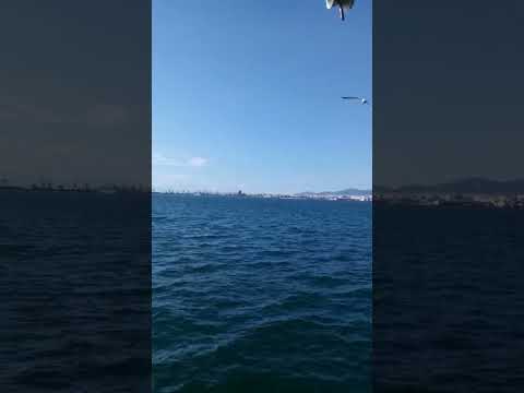 Floating Bar in Thessaloniki