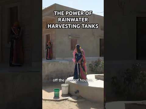 The Power of Rainwater Harvesting Tanks: Empowering Desert Communities