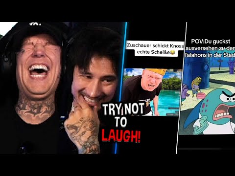 LACHEN = 100€! 😳 LUSTIGE TikTok Clips mit @julienbam 😂 | MontanaBlack Highlights