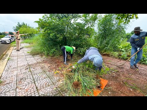 Authorities were SHOCKED by the beauty of the $1M sidewalk after years of neglect.