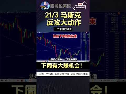 【马斯克反攻大动作】下周有大赚机会 #特斯拉股票 #美股 #股哥说美股 #tesla #马斯克 #AI #人工智能 #DeepSeek #chatgpt