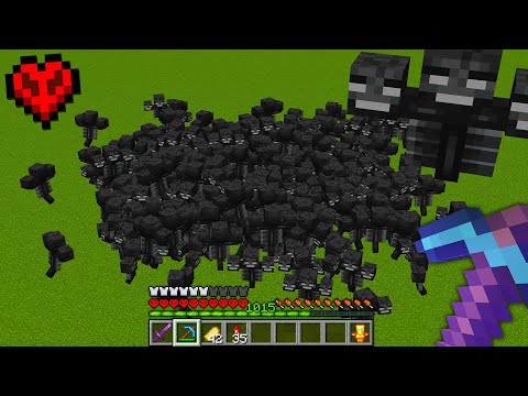 Stream Ends When I Kill 1,000 Withers...