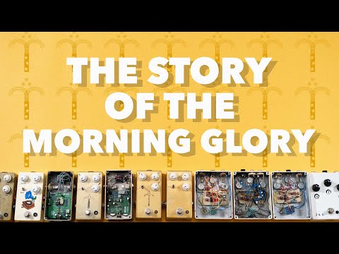 The Story of the JHS Morning Glory