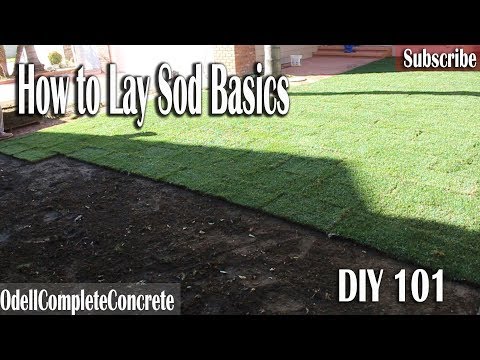 How to lay Sod 101 DIY