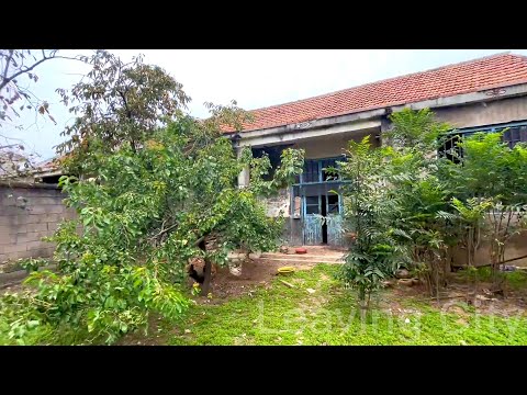 10 years after grandpa passed away ~ CLEAN UP WEEDS~A couple renovated the old house left by grandpa