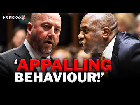 David Lammy COMPLETELY loses it during Commons THRASHING on Labour's jury reforms