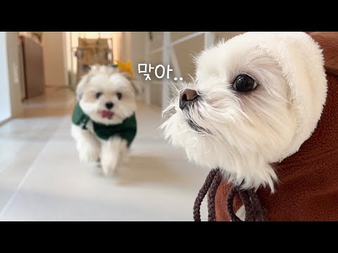 크리스마스에는 밖에 나가는 거 아니야