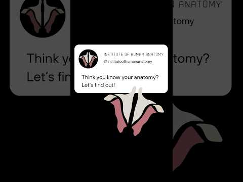 Test Your Anatomy Knowledge - how’d you do??