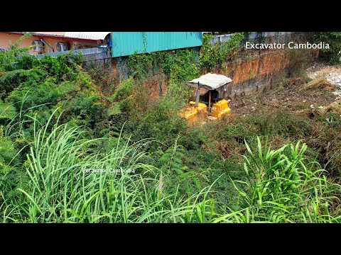 Full Processing Completed 100% Landfill By D31+D20 Bulldozer Pushing  And 5Ton Truck Unloading Dirt