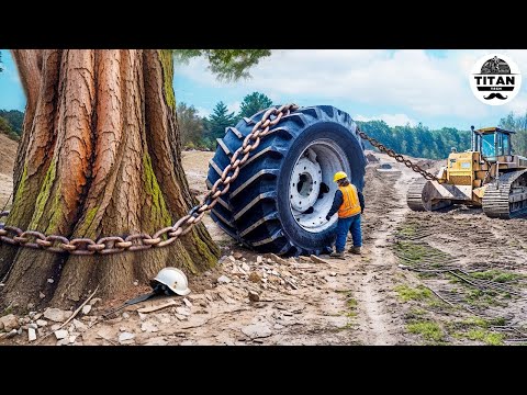 Extreme Dangerous Monster Stump Removal Excavator | Amazing Fastest Wood Chipper Machines #46