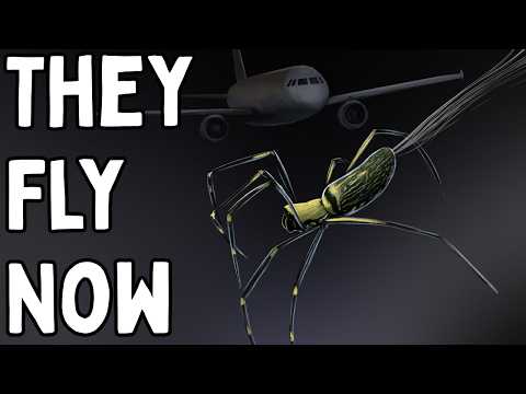 6 Animals You Never Knew Could Fly (and wish couldn't)