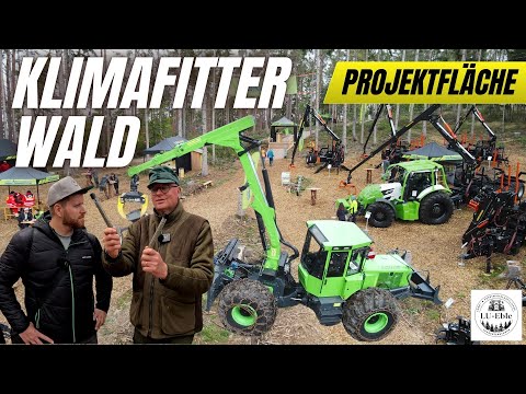 Wald der Zukunft: Lösungen aus der Praxis | Projektfläche "Klimafitter Wald" | LU-Eble