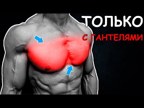 Лучшая тренировка для груди с гантелями СИММЕТРИЧНЫЕ ГРУДНЫЕ! | Джефф Кавальер