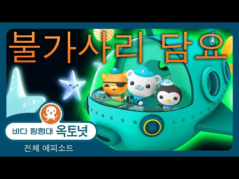 바다 탐험대 옥토넛 - 🧶 불가사리 담요 ✨🌊 - 30분+ 편집 - 모음집