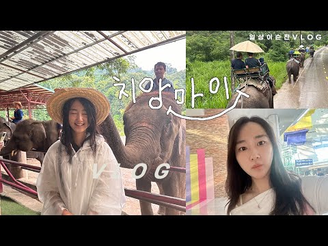 치앙마이 VLOG) 💛노랑풍선과 함께한 치앙마이 여행 I 3박5일 가족 패키지 여행 l 사원에서 사원 생명수에서 생명수로 끝난 여행 l 코끼리 트래킹 l 치앙라이 l 힐링여행
