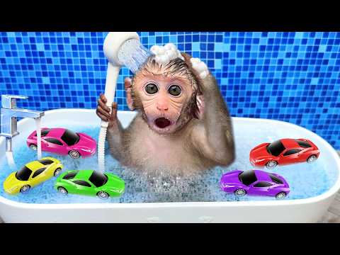 Monkey Baby Bon Bon drives a car and plays with puppy and duckling by the track | Bon Bon Indonesian