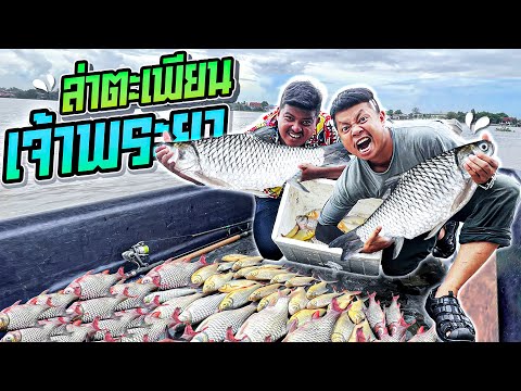 ล่าปลาตะเพียนแม่น้ำภายใน 1 วินาที ได้โคตรเยอะโคตรไวที่สุดในประเทศไทย ใครๆก็เทียบไม่ติด