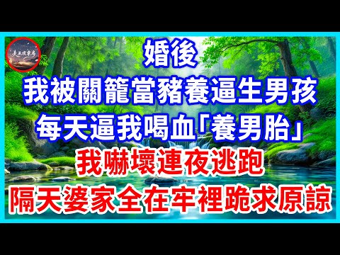婚後，我被關籠當豬養逼生男孩，每天逼我喝血「養男胎」，我嚇壞連夜逃跑，隔天婆家全在牢裡跪求原諒！#為人處世 #生活經驗 #情感故事 #故事 #小說 #戀愛 #情感 #婚姻