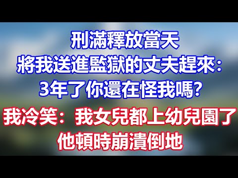 刑滿釋放當天，將我送進監獄的丈夫趕來：3年了你還在怪我嗎？我冷笑：我女兒都上幼兒園了，他頓時崩潰倒地
