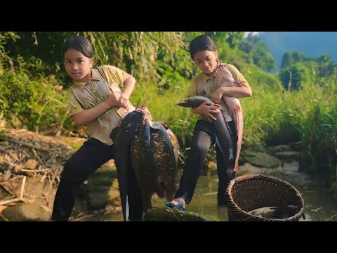 The Orphan Girl Catches Fish in the Stream to Earn Money