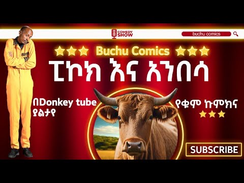 እንስሳት መከበር አለባቸው !