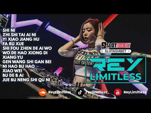 Chinese DJ Remix 2024 Shi Ni X Zhi Shi Tai Ai Ni X Yi Xiao Jiang Hu