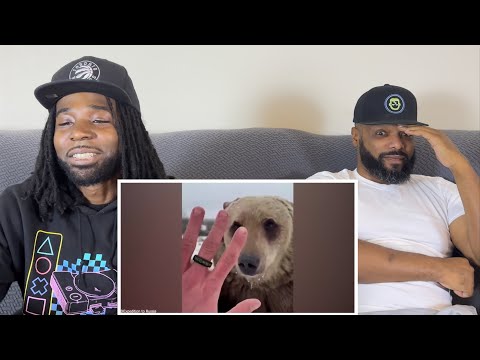 Damn Nature You Scary #3 Reaction