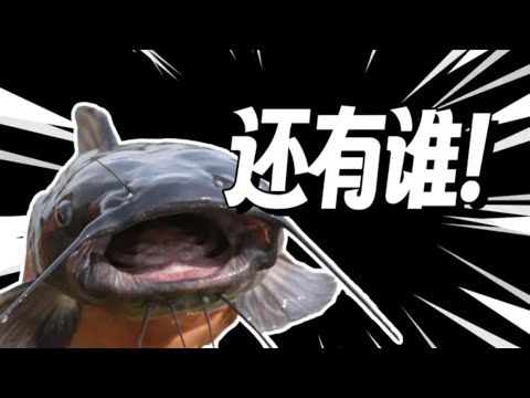 【鬼谷说】鲇形目：数值怪的养成之道