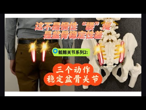 不是慢性“腰”疼，是盆骨不稳定导致的！薦髂关节/骶髂关节稳定性差，如何自我康复｜悉尼脊医