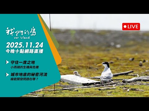 【今晚十點 🔴LIVE】2025.11.24 公視我們的島第1333集 播出