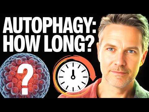 How Long Should You Fast to Trigger Autophagy?