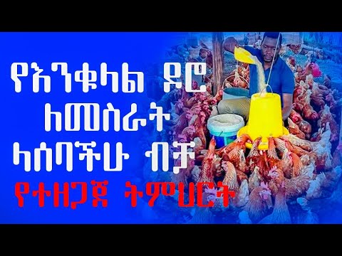አንድ ዶሮ አርቢ ግዴታ ማወቅ ያለበት ነገር