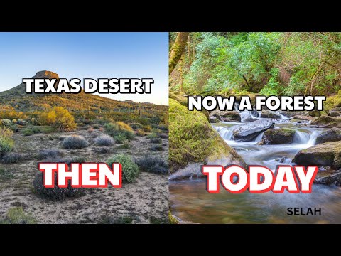 How One Man Turned a Texas Desert Into a Living Forest