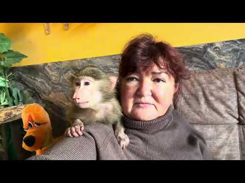 Anfisa is going to meet Lucy's gang😂